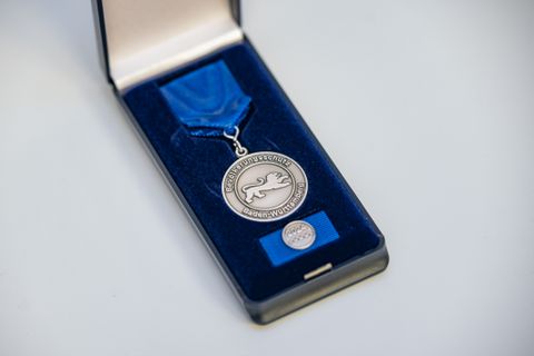 Bevölkerungsschutz-Einsatzmedaille des Landes Baden-Württemberg
