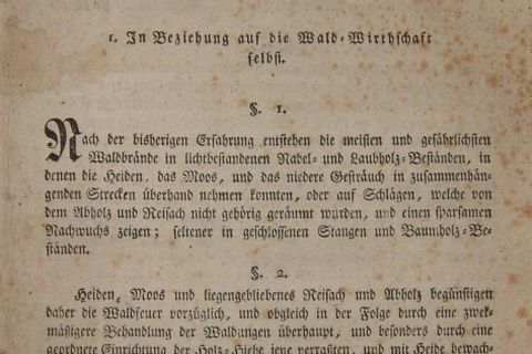 Wald-Feuer-Ordnung