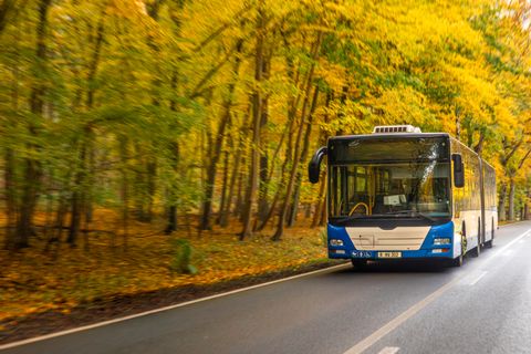 Stadtbus im Herbstlaub