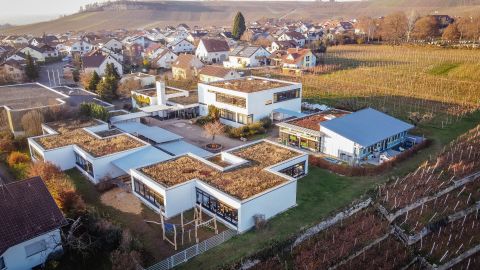 Felsengartenschule Hessigheim