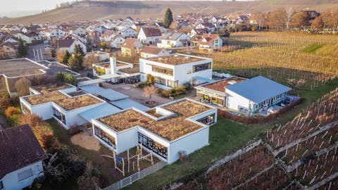 Felsengartenschule Hessigheim