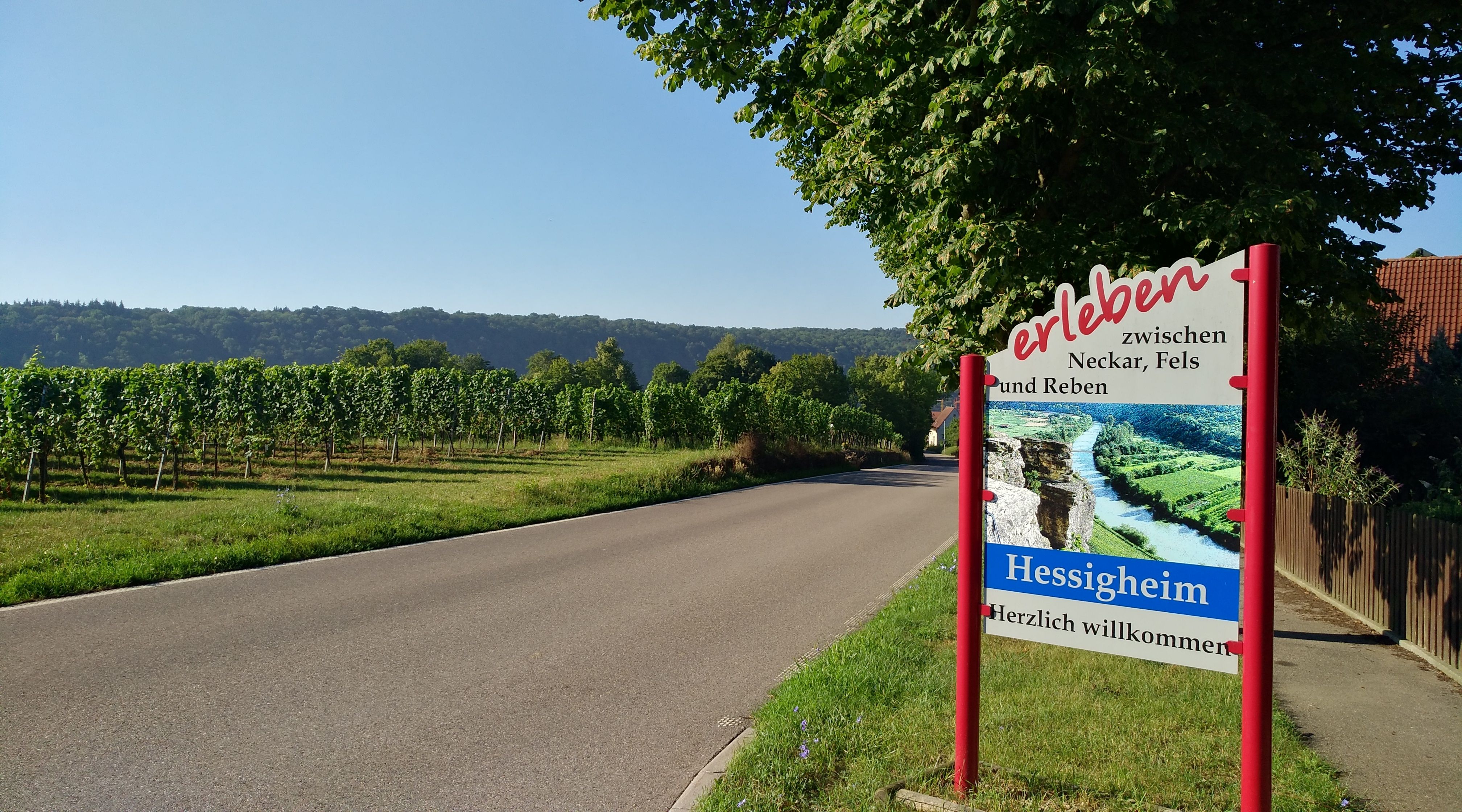 Willkommen in Hessigheim
