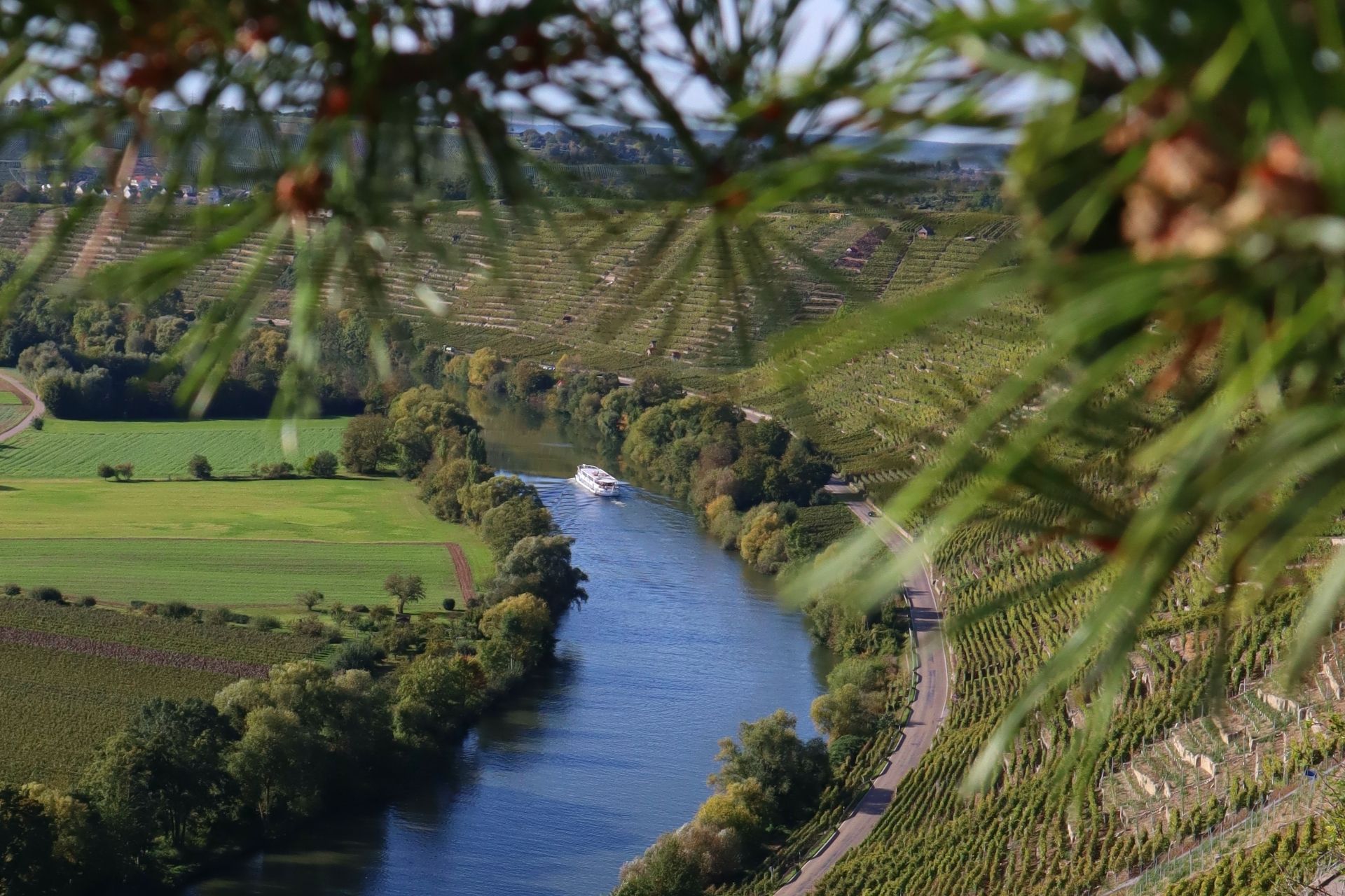 Neckar