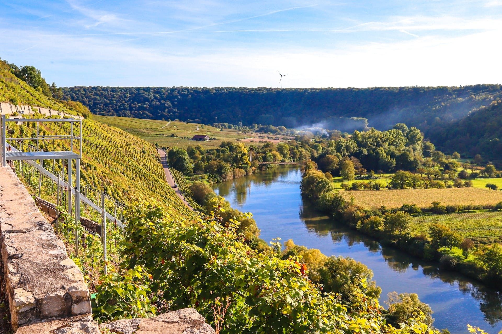 Neckar